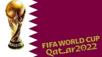 صورة .. 137 لاعب مجنسين في كأس العالم بقطر !