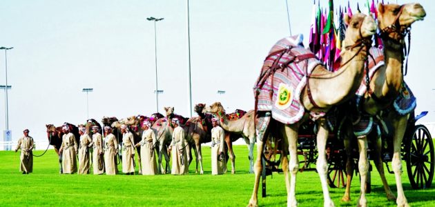 انطلاقة مميزة لمهرجان "الهجن وكأس العالم"