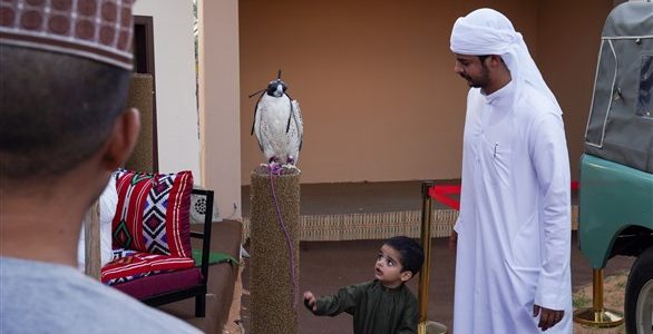 نادي صقاري الإمارات يستقطب زوار مهرجان الشيخ زايد