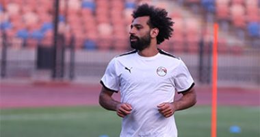 المقاولون يحتفل بعيد ميلاد محمد صلاح: 31 عاما من سحر الملك المصري فخر ذئاب الجبل