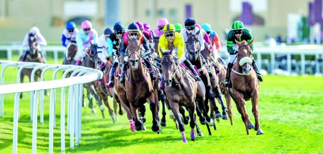 مهرجان سيف سمو الأمير ينطلق 15 فبراير القادم